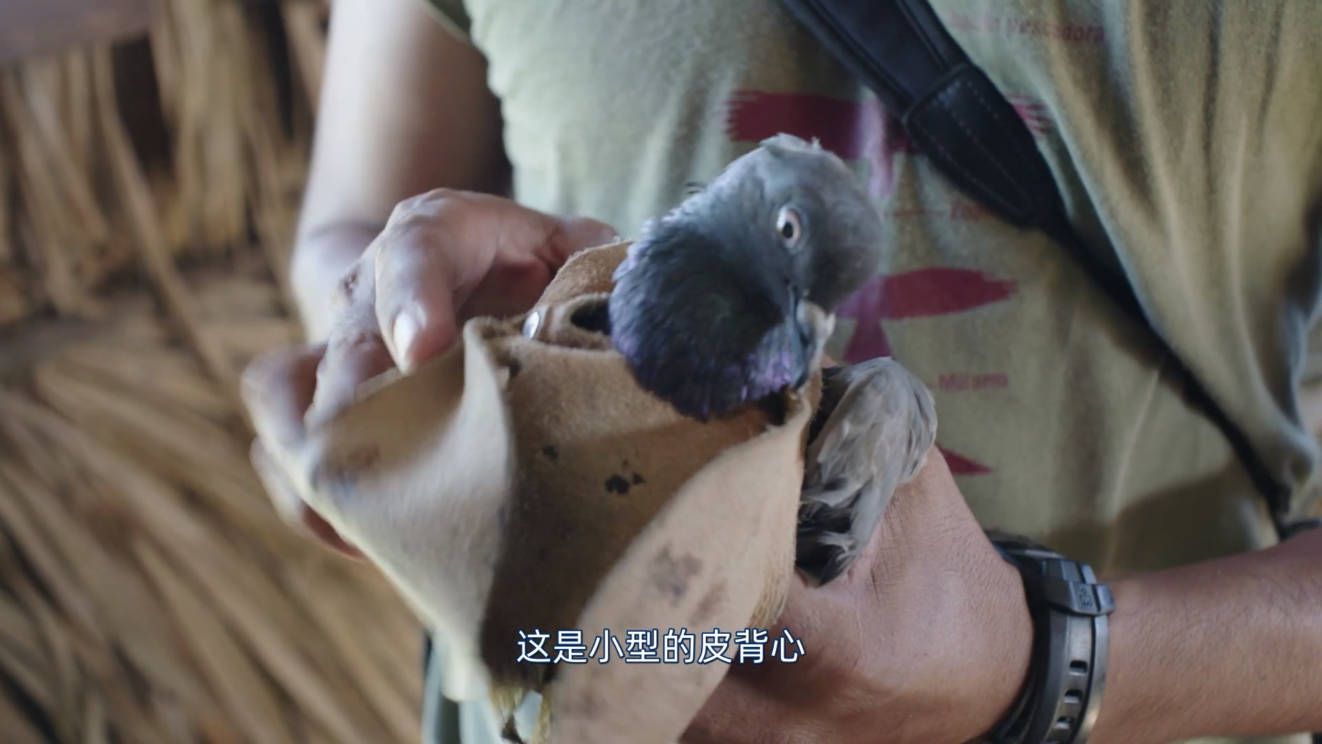 海报0